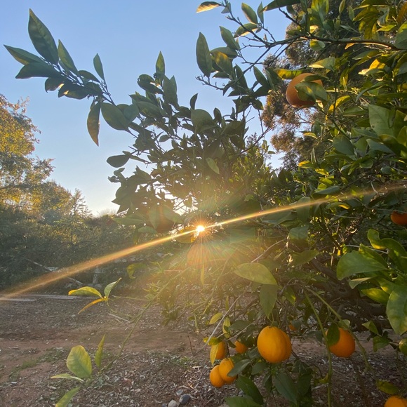 Meet your Posher, Kristen - Picture 1 of 1